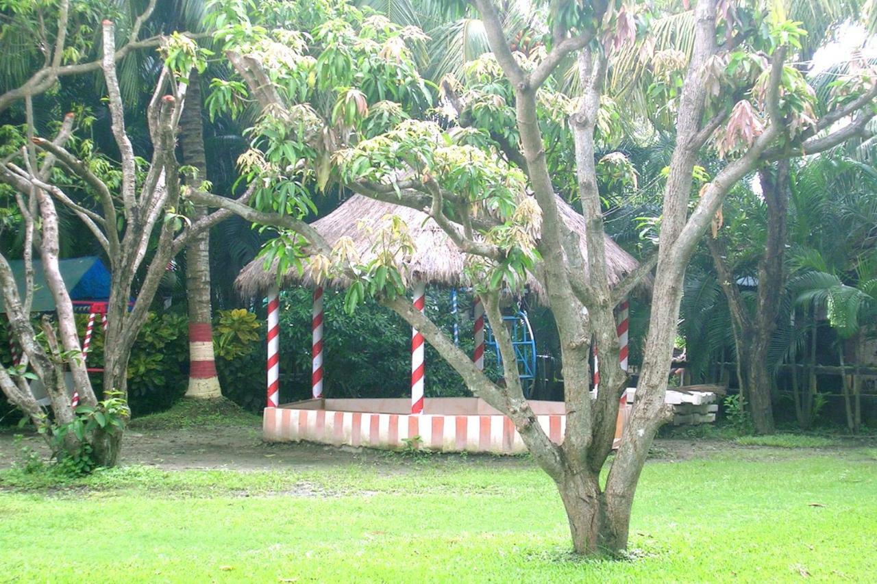 Palm Village Resort Kalkata Exteriér fotografie